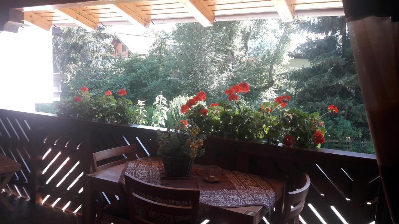 Appartement Hoedlmoser 阿尔滕马克特蓬高 外观 照片
