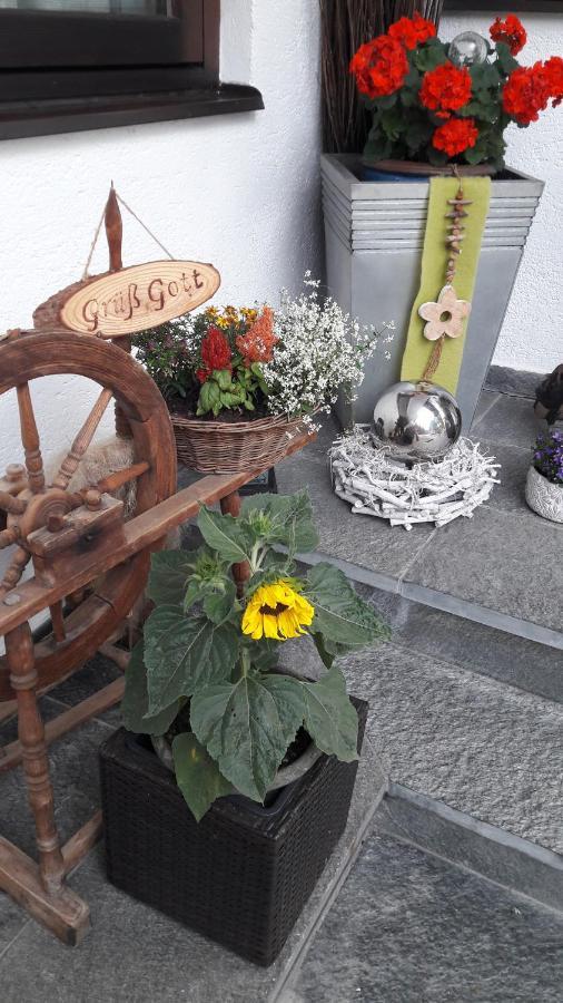 Appartement Hoedlmoser 阿尔滕马克特蓬高 外观 照片