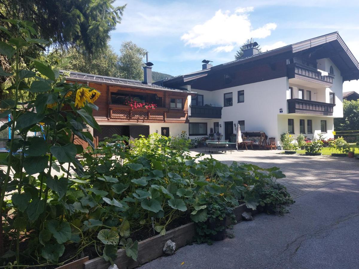 Appartement Hoedlmoser 阿尔滕马克特蓬高 外观 照片